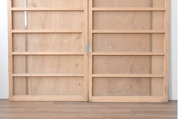 ヴィンテージ建具　昭和後期　インダストリアルな空間づくりにおすすめのブリキ板引き戸2枚セット　(R-087462)