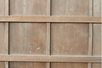 アンティーク建具　大正から昭和初期　杉材　木味の良さが引き立つ蔵戸1枚　(R-087463)