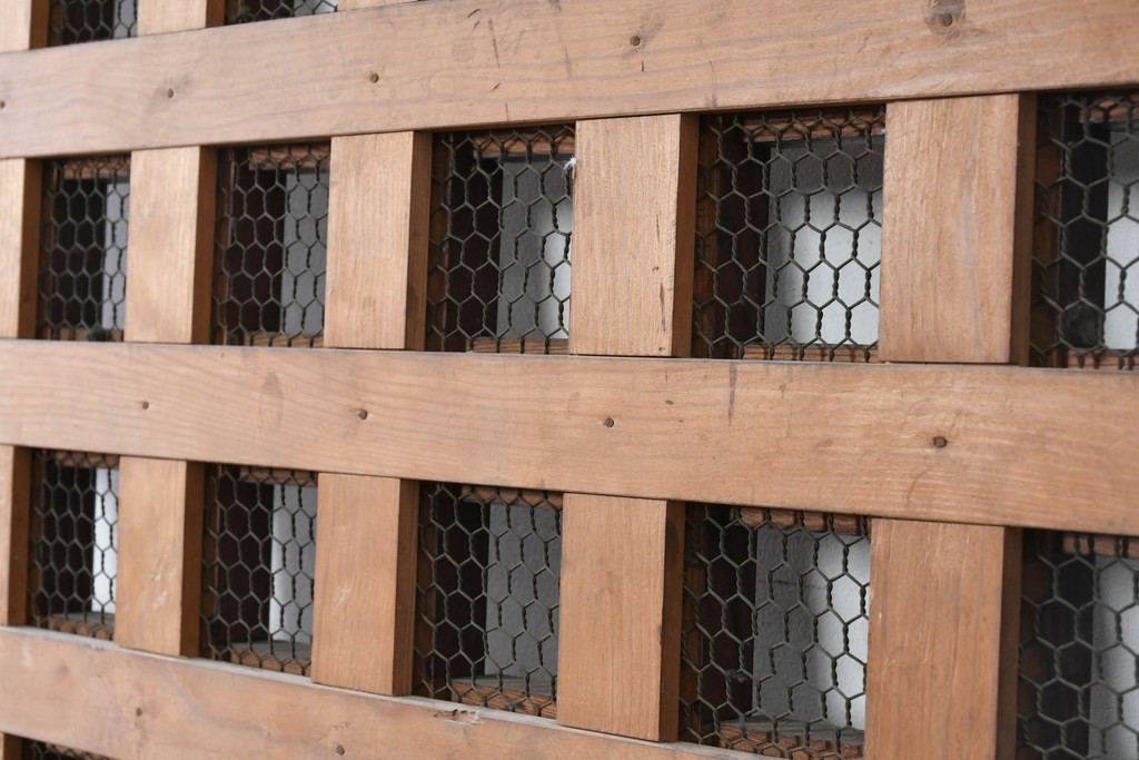 アンティーク建具　明治から大正期　狐格子が目を引く蔵戸1枚　(R-087466)