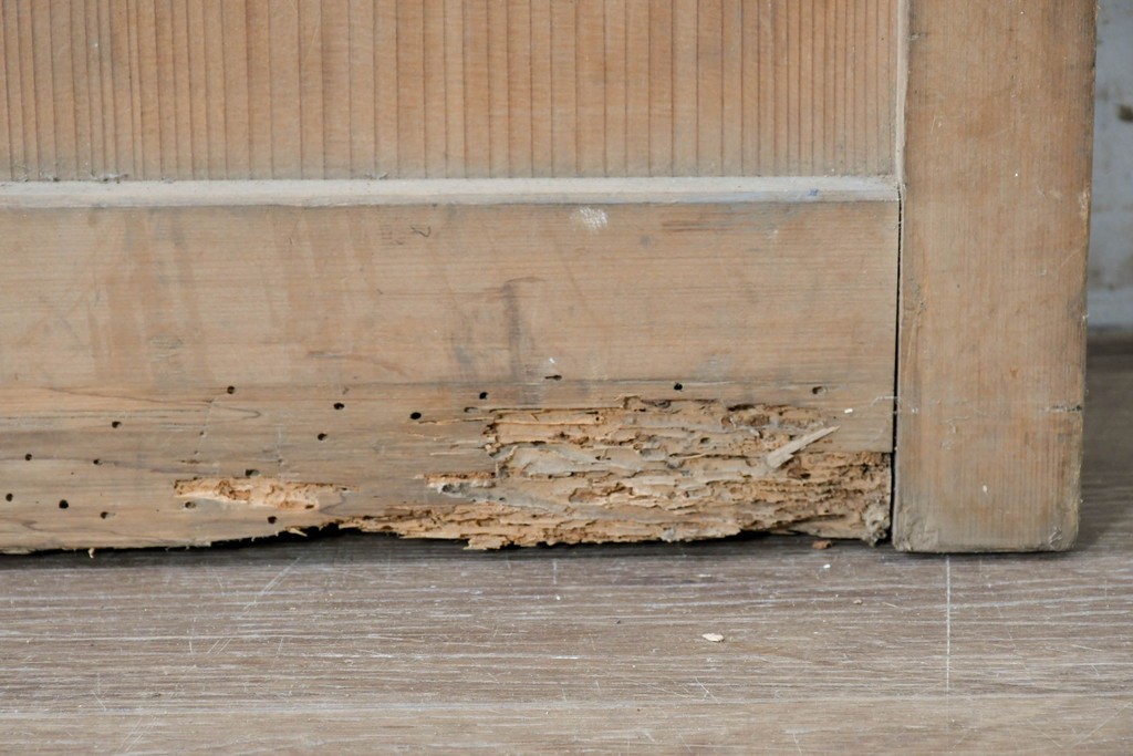 アンティーク建具　明治から大正期　素朴な格子が味わい深い障子蔵戸1枚　(R-087467)