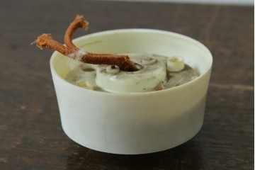 《引っ掛けシーリング式ペンダントライト加工費込み》和製ヴィンテージ　球形シェードのシーリングライト　(R-087485)