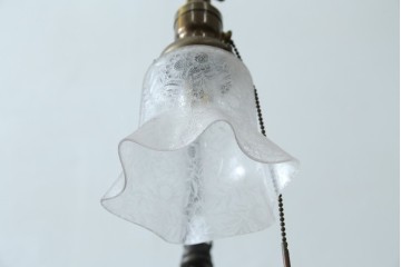 フランスアンティーク　アイアンフレームの透かし細工とガラスシェードの繊細な模様が美しいフロアスタンド　(R-087508)