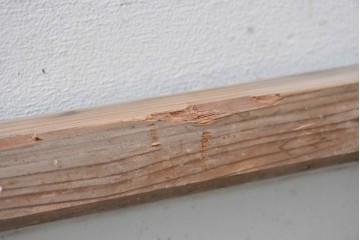 アンティーク建具　昭和初期　素朴な木味が楽しめる明り取り1枚　(R-087516)