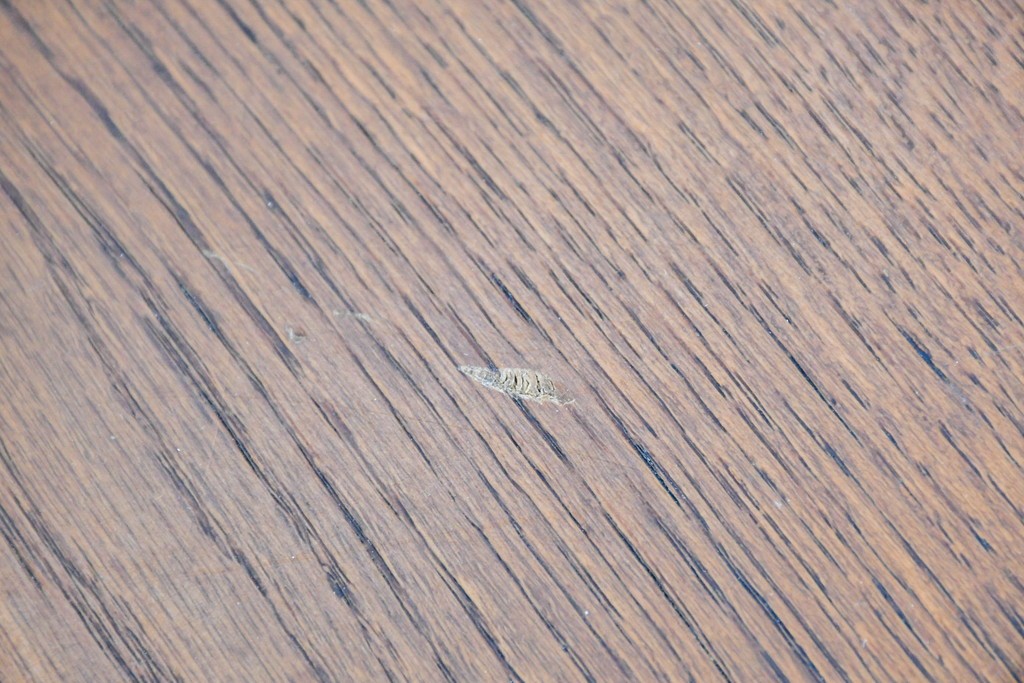 中古　希少な大振りサイズ!!　arflex(アルフレックス)　NEW STATION(ニューステーション)ラウンドテーブル　定価約25万円　(R-087521)