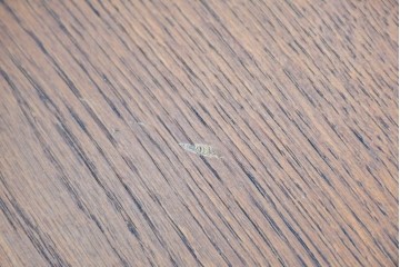 中古　希少な大振りサイズ!!　arflex(アルフレックス)　NEW STATION(ニューステーション)ラウンドテーブル　定価約25万円　(R-087521)