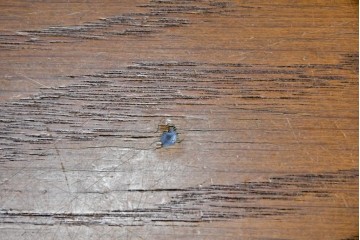 中古　希少な大振りサイズ!!　arflex(アルフレックス)　NEW STATION(ニューステーション)ラウンドテーブル　定価約25万円　(R-087522)