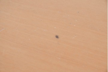 中古　arflex(アルフレックス)　TAVOLO NAVE(タボロ・ナーベ)　天板デザインが印象的なダイニングテーブル　現行定価約55万円　(R-087539)