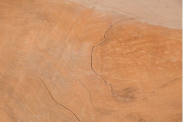 中古　国産職人手作り品　栃ノ木(トチノキ)　一枚板の存在感あふれるダイニングテーブル　製作費約45万円　(R-087540)