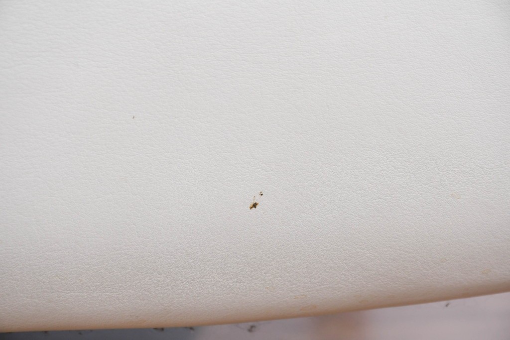 中古　カリモク家具(karimoku)　オーク材　本革(レザー)　ナチュラルモダンな3人掛けソファ　定価約28万円　(R-087544)