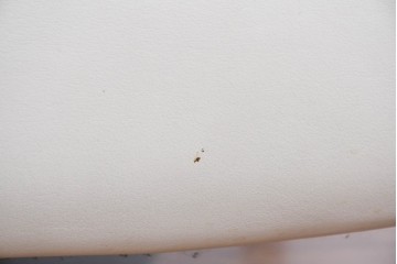 中古　カリモク家具(karimoku)　オーク材　本革(レザー)　ナチュラルモダンな3人掛けソファ　定価約28万円　(R-087544)