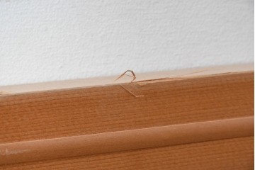 ヴィンテージ建具　昭和中期　松竹の彫刻が施された欄間1枚　(R-087549)