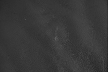 中古　ドイツ　ROLF BENZ(ロルフベンツ)　本革　丸みのある柔らかなフォルムの二人掛けソファ　定価約130万円　(R-087574)