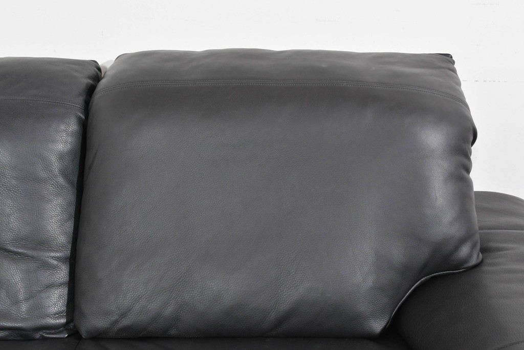 中古　ドイツ　ROLF BENZ(ロルフベンツ)　本革　丸みのある柔らかなフォルムの二人掛けソファ　定価約130万円　(R-087575)