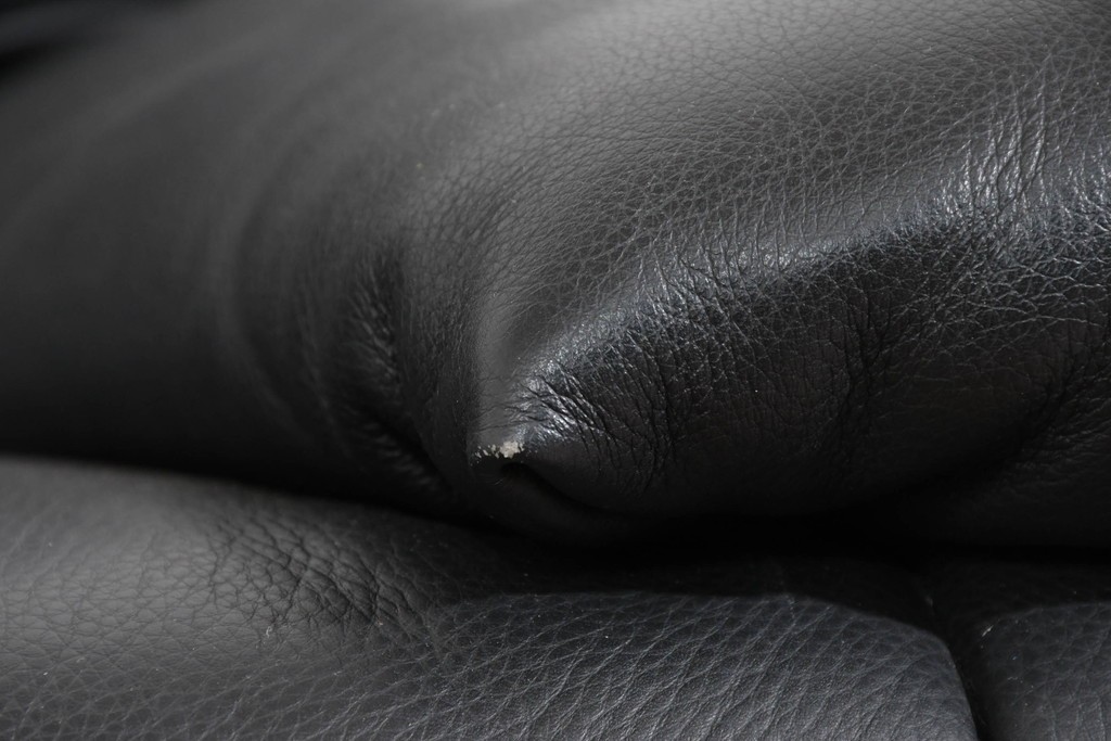 中古　ドイツ　ROLF BENZ(ロルフベンツ)　本革　丸みのある柔らかなフォルムの二人掛けソファ　定価約130万円　(R-087575)