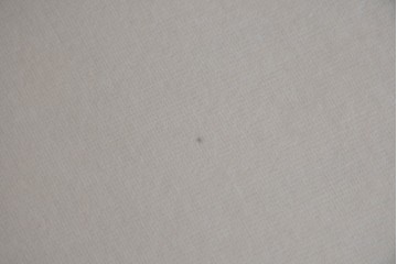 中古　イタリア　erba(エルバ)社　SOGNO(ソーニョ)　スタイリッシュな二人掛けソファ　定価約88万円　(R-087576)