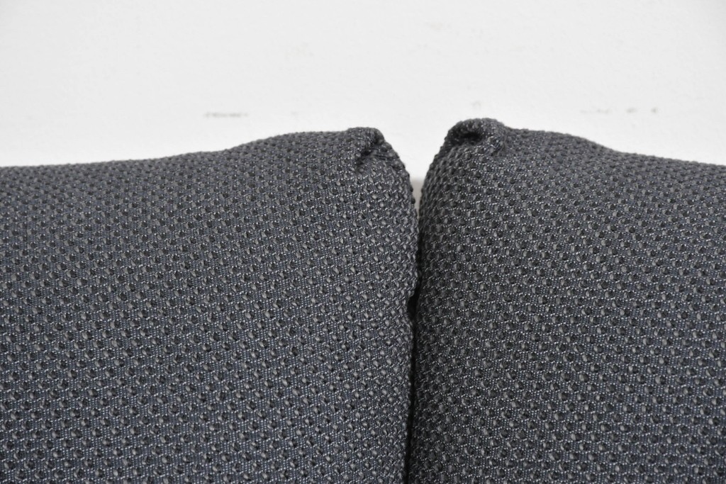 中古　希少モデル　ROLF BENZ(ロルフベンツ)　包み込まれるようなフォルムの2人掛けソファ　定価約70万円　(R-087577)