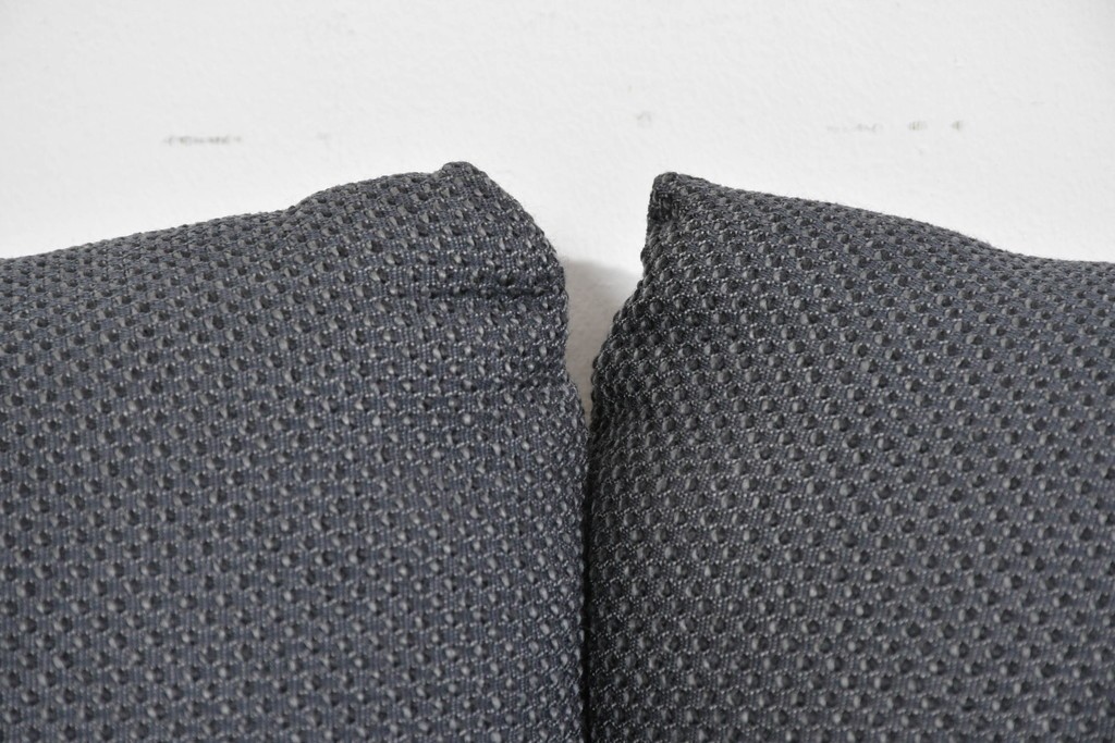 中古　希少モデル　ROLF BENZ(ロルフベンツ)　包み込まれるようなフォルムの2人掛けソファ　定価約64万円　(R-087578)