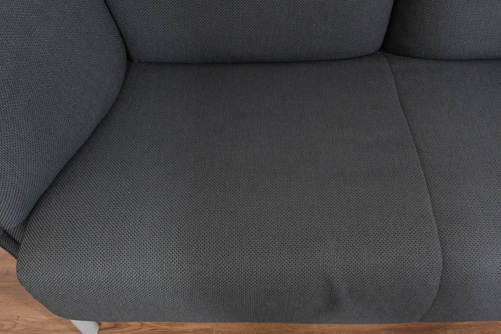 中古　希少モデル　ROLF BENZ(ロルフベンツ)　包み込まれるようなフォルムの2人掛けソファ　定価約64万円　(R-087578)