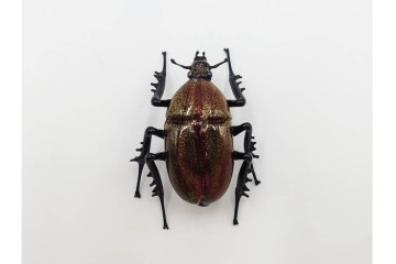ヴェネツィア　ヴィットリオ・コスタンティーニ(Vittorio Costantini)　ガラス製　コガネムシ・カミキリムシ・カブトムシの置物3点セット　外箱付き　(R-087647)