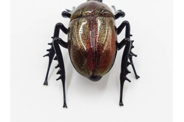 ヴェネツィア　ヴィットリオ・コスタンティーニ(Vittorio Costantini)　ガラス製　コガネムシ・カミキリムシ・カブトムシの置物3点セット　外箱付き　(R-087647)