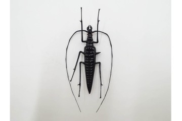 ヴェネツィア　ヴィットリオ・コスタンティーニ(Vittorio Costantini)　ガラス製　コガネムシ・カミキリムシ・カブトムシの置物3点セット　外箱付き　(R-087647)