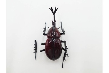 ヴェネツィア　ヴィットリオ・コスタンティーニ(Vittorio Costantini)　ガラス製　コガネムシ・カミキリムシ・カブトムシの置物3点セット　外箱付き　(R-087647)