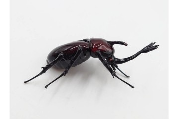 ヴェネツィア　ヴィットリオ・コスタンティーニ(Vittorio Costantini)　ガラス製　コガネムシ・カミキリムシ・カブトムシの置物3点セット　外箱付き　(R-087647)