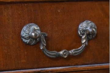 イギリスアンティーク　希少な幅狭サイズ!!　マホガニー材　クラシカルな金具と彫刻装飾が優雅な猫脚ガラスキャビネット　(R-087771)