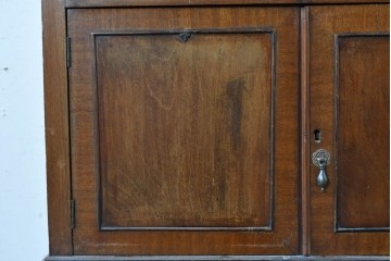 イギリスアンティーク　希少な幅狭サイズ!!　マホガニー材　クラシカルな金具と彫刻装飾が優雅な猫脚ガラスキャビネット　(R-087771)