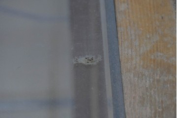 和製ヴィンテージ　楢(ナラ)材　素朴な風合いが魅力のガラスショーケース　(R-087781)