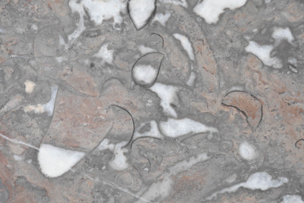 イギリスアンティーク　オーク材　バーリーシュガーツイストレッグが印象的なタオルハンガー付きのウォッシュスタンド　(R-087794)