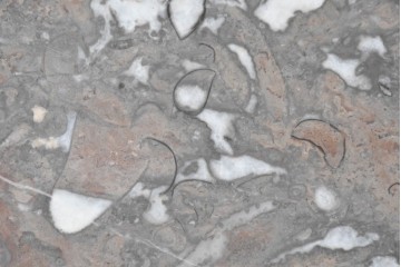 イギリスアンティーク　オーク材　バーリーシュガーツイストレッグが印象的なタオルハンガー付きのウォッシュスタンド　(R-087794)