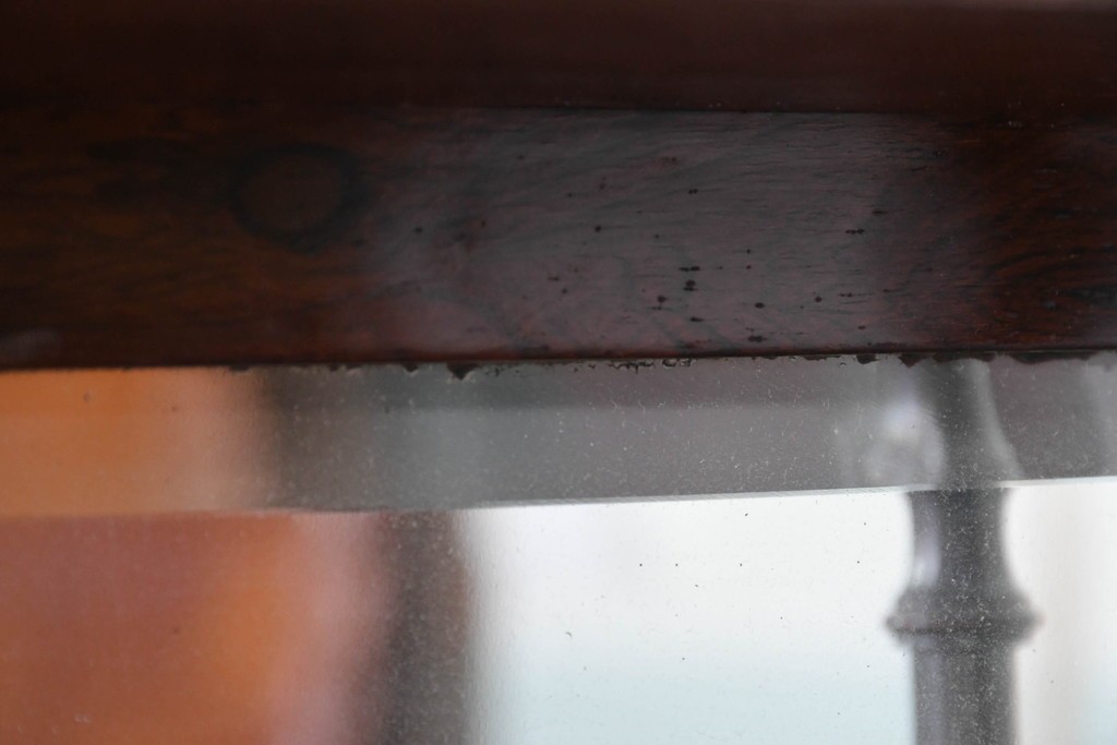 イギリスアンティーク　ローズウッド材　コンパクトなサイズ感がうれしい象嵌入りのミュージックキャビネット　(R-087798)