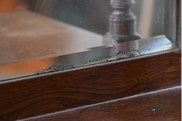 イギリスアンティーク　ローズウッド材　コンパクトなサイズ感がうれしい象嵌入りのミュージックキャビネット　(R-087798)