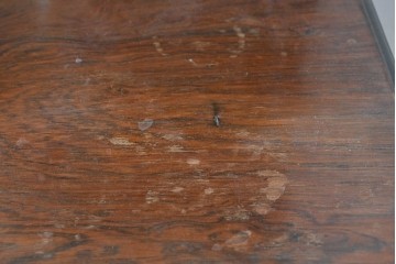 イギリスアンティーク　ローズウッド材　コンパクトなサイズ感がうれしい象嵌入りのミュージックキャビネット　(R-087798)