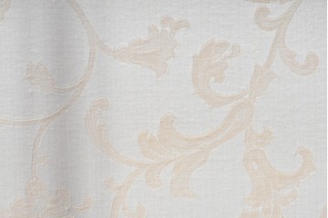 イギリスアンティーク　ウォールナット材　猫脚が優美なガラスキャビネット　(R-087816)