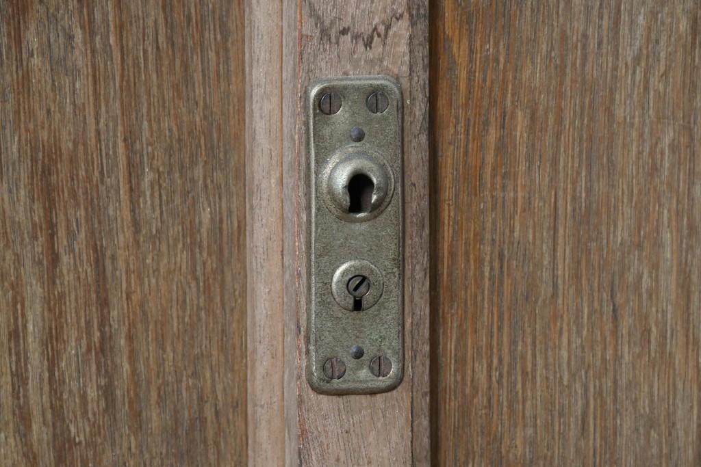 和製アンティーク　大正期から昭和初期　素朴な存在感が魅力の戸棚　(R-087818)