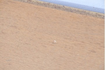 和製ヴィンテージ　昭和レトロ　KIHARA　ナラ材製　小物収納に最適な図書館のカードケース　(R-087819)