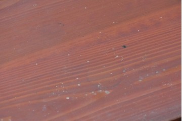 和製アンティーク　美品　希少　前面欅材　漆塗りの合わせ一間夫婦箪笥　(R-087823)