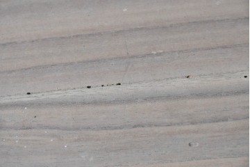 和製アンティーク　明治期から大正期　総桐材　秋田箪笥ローボード　(R-087825)