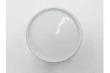 江戸期　古伊万里　染付・金彩　草花文が描かれたそば猪口5点セット　(R-087889)