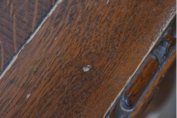 イギリスアンティーク　オーク材　彫刻入りのドローリーフテーブル　(R-087910)