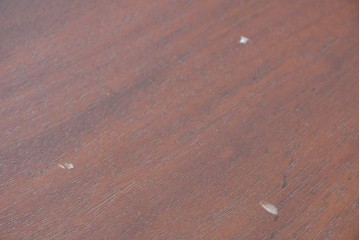 イギリスアンティーク　マホガニー無垢材　キャスター付きのエクステンションテーブル　(R-087912)