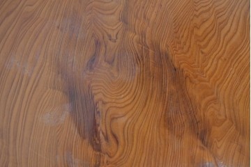 中古　高級品　屋久杉　一枚板　漆塗り　自然美あふれる耳付き座卓　定価約150万円　(R-087984)