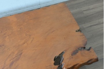 中古　高級品　屋久杉　一枚板　漆塗り　自然美あふれる耳付き座卓　定価約150万円　(R-087985)