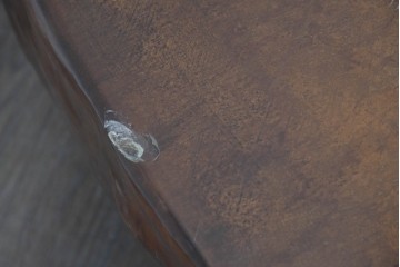 中古　輪切り一枚板　厚みのある一枚板が存在感を放つ平置き座卓　(R-087986)