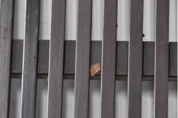 アンティーク建具　大正から昭和初期　腰板欅(ケヤキ)材　深みのある漆塗りの色合いが魅力の格子蔵戸1枚　(R-087999)