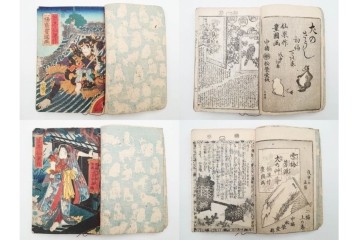 木版画　合巻(合本)　「雪梅芳譚犬の草紙(八犬伝犬の草紙)」　1編から37編・41編から55編　合計104巻(104冊)セット　(R-088031)