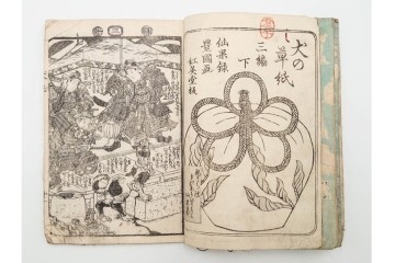 木版画　合巻(合本)　「雪梅芳譚犬の草紙(八犬伝犬の草紙)」　1編から37編・41編から55編　合計104巻(104冊)セット　(R-088031)