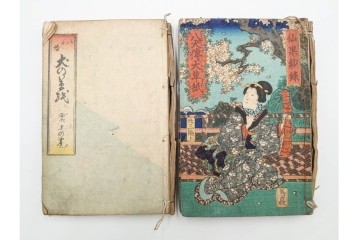 木版画　合巻(合本)　「雪梅芳譚犬の草紙(八犬伝犬の草紙)」　1編から37編・41編から55編　合計104巻(104冊)セット　(R-088031)